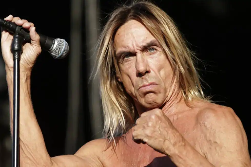 iggy pop