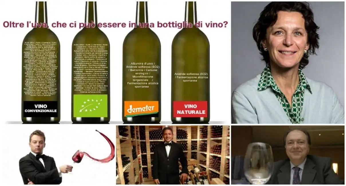 vino ingredienti bottiglie