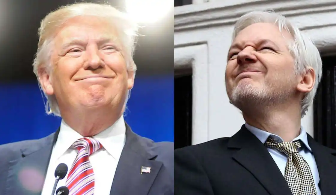 assange trump