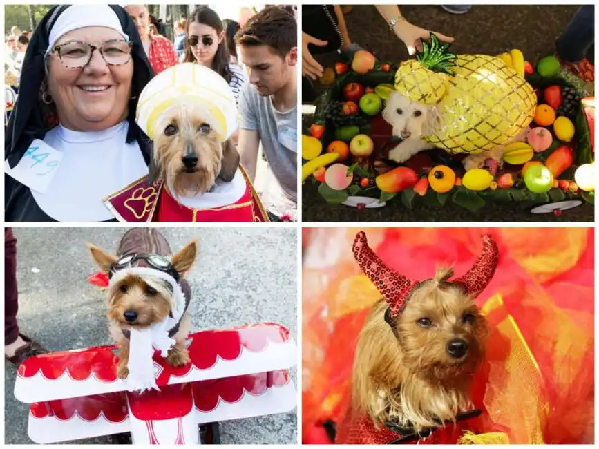 dog parade new york