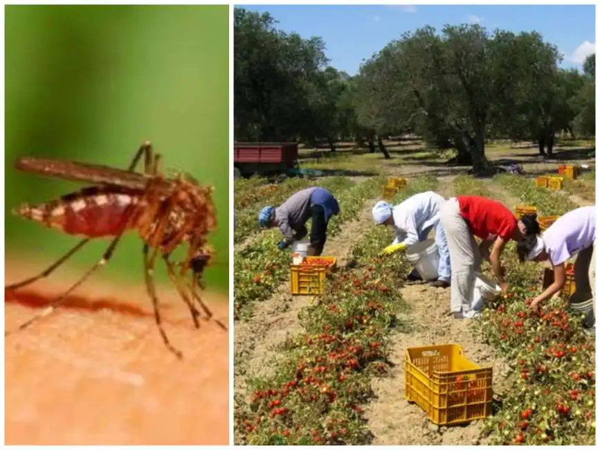 malaria italia