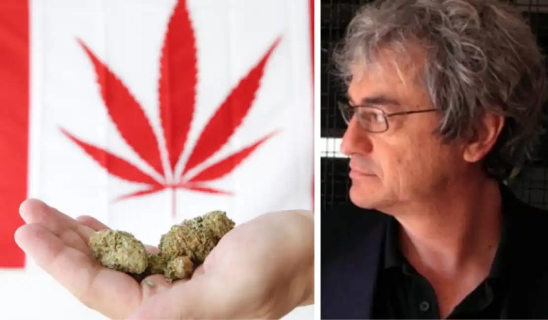 carlo rovelli marijuana canada