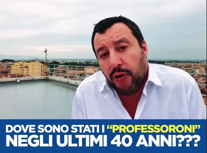 salvini professoroni