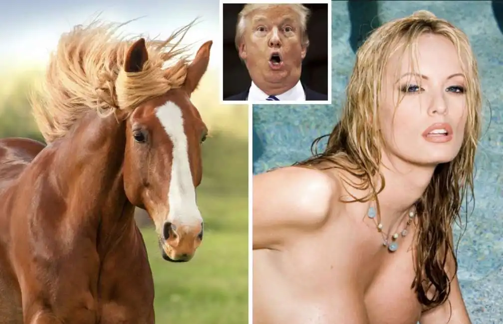 stormy daniels trump cavallo