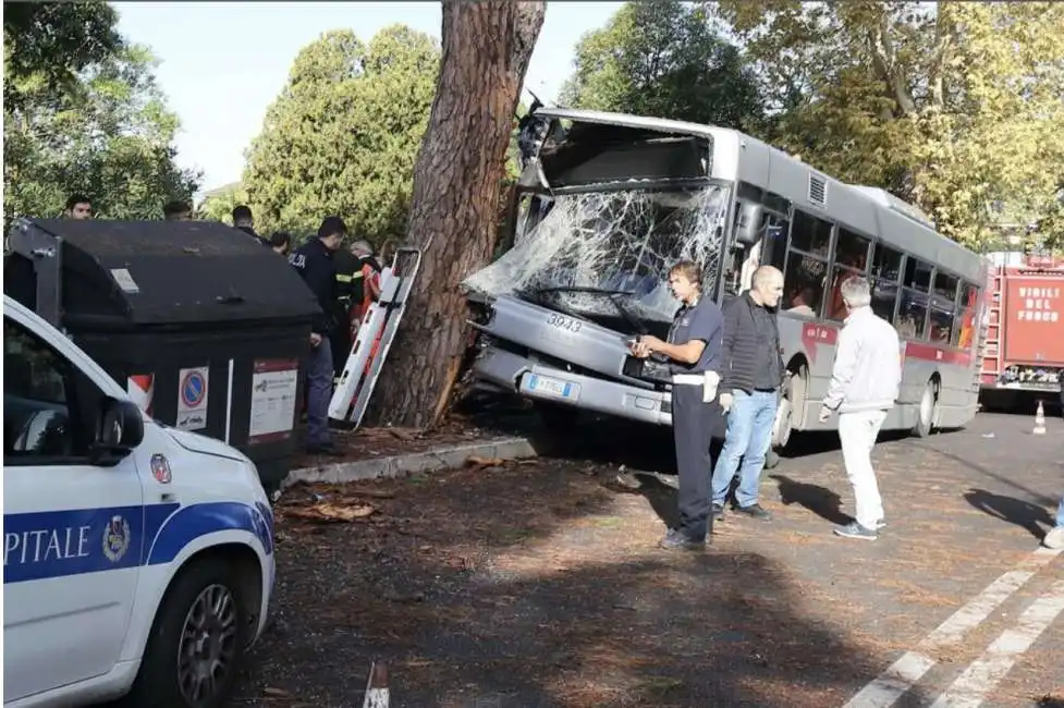 autobus atac roma albero