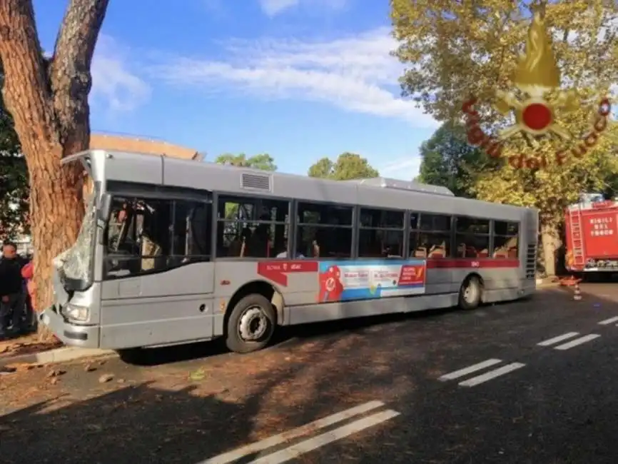 autobus roma atac tronco albero