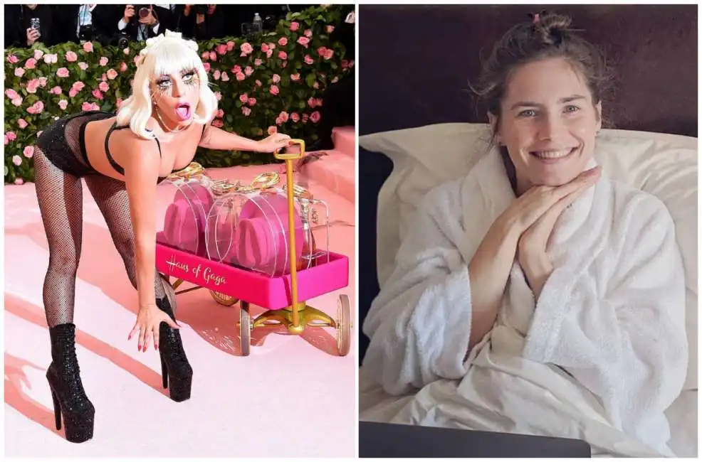 lady gaga amanda knox