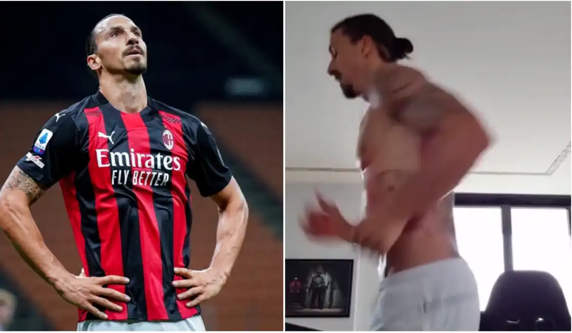 ibra