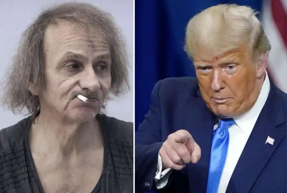 michel houellebecq - donald trump