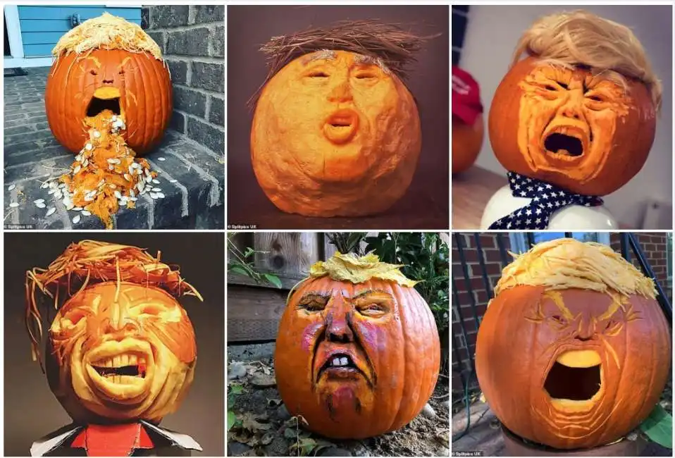 zucca donald trump