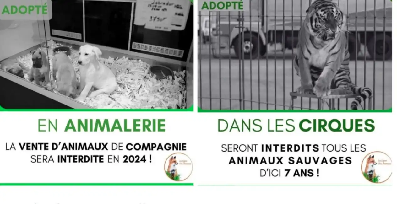 legge e a tutela degli animali in francia