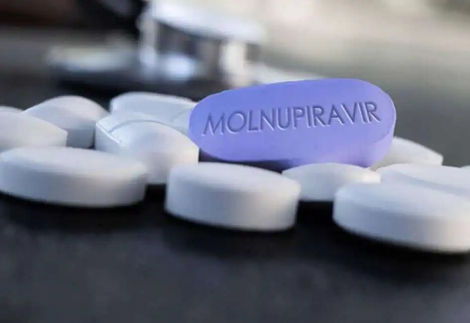 molnupiravir merck