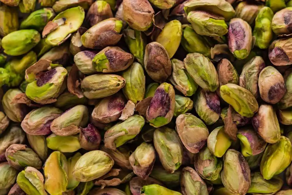 pistacchio