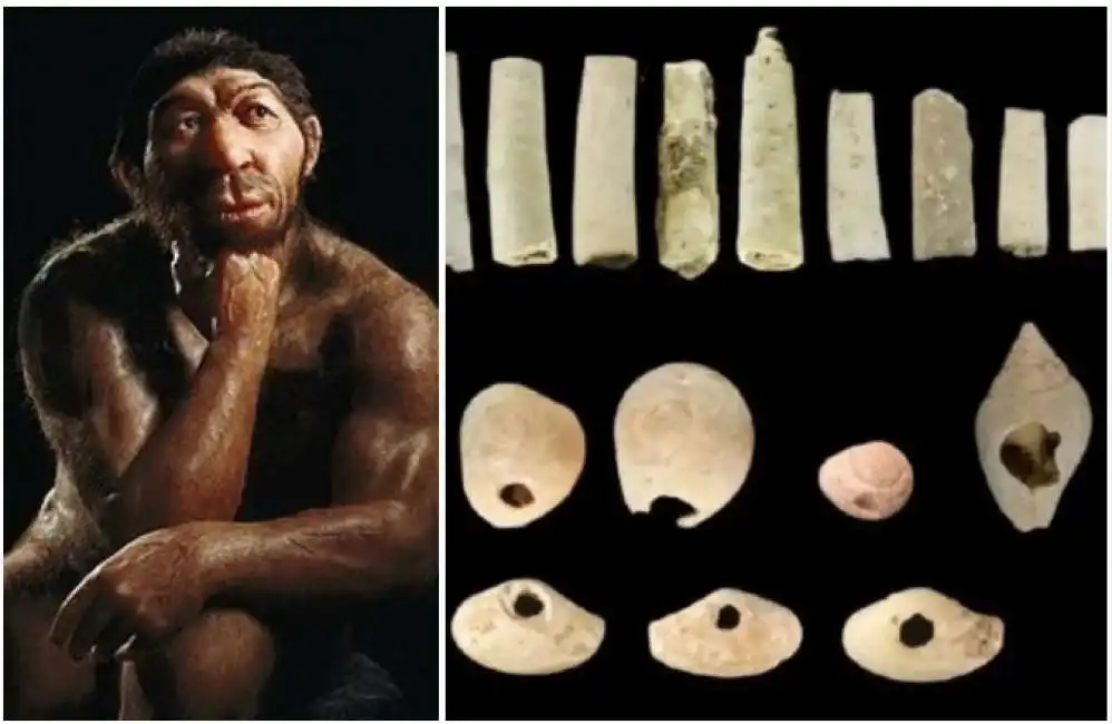 grotta del cavallo di nardo homo sapiens