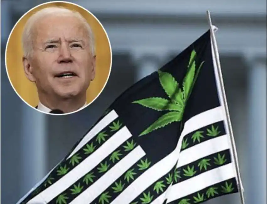 joe biden marijuana cannabis