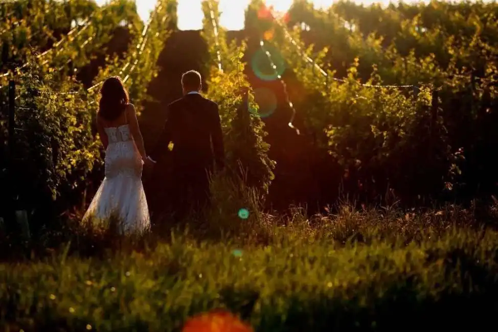 matrimonio azienda vinicola - 3