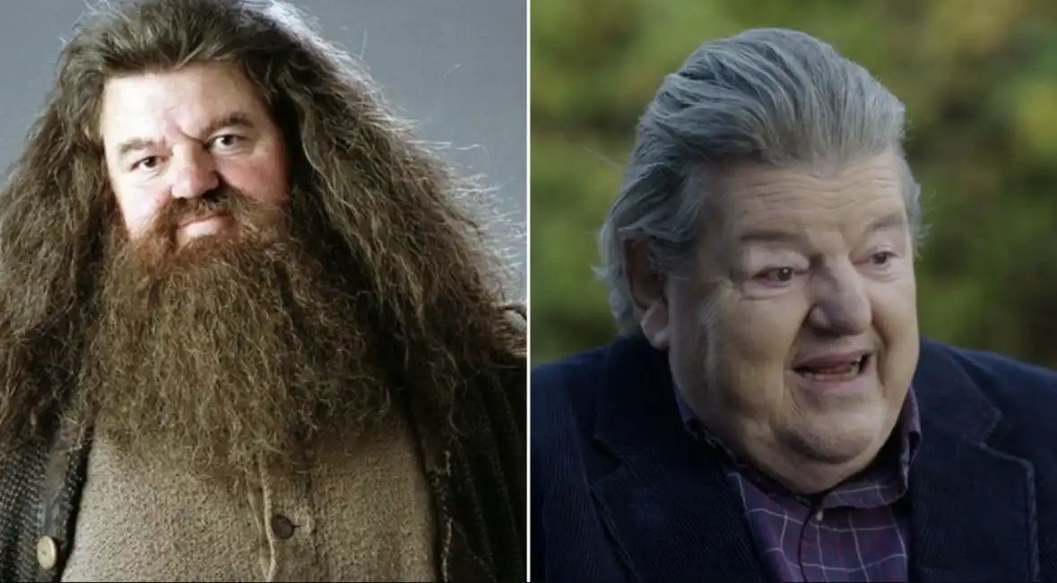 robbie coltrane harry potter