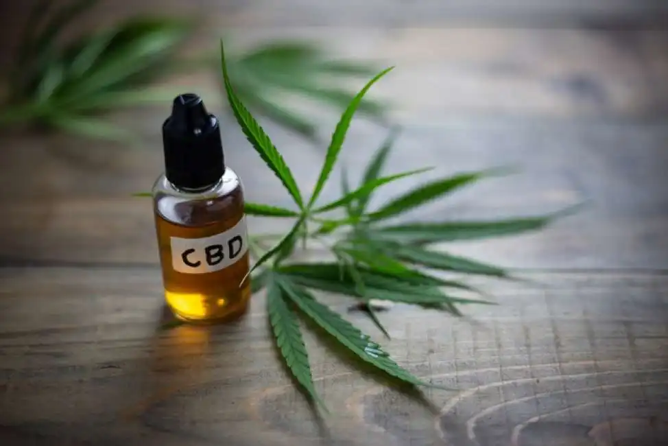 cbd cannabis light