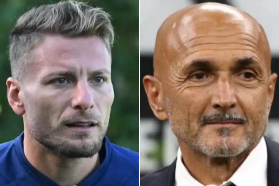 immobile spalletti