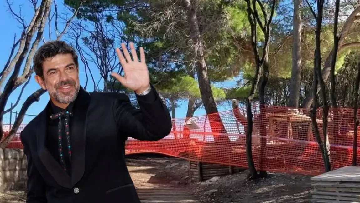 alberi abbattuti nel parco del conero per riprese del film il maestro pierfrancesco favino 