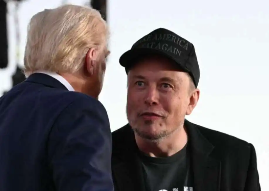 donald trump elon musk 