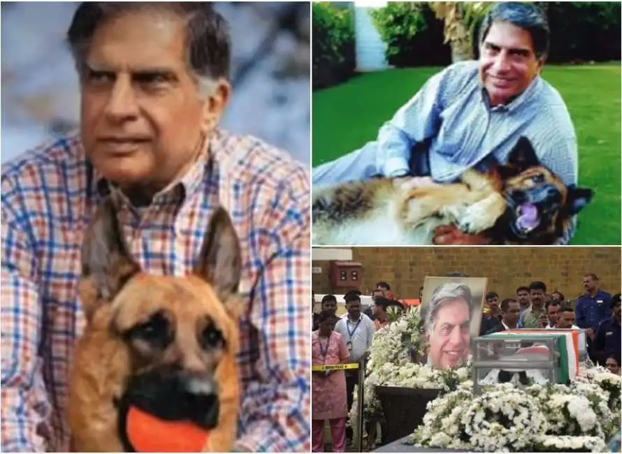 ratan tata 