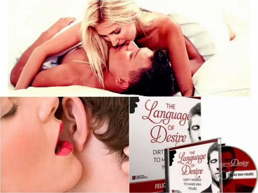 il libro language of desire big foto