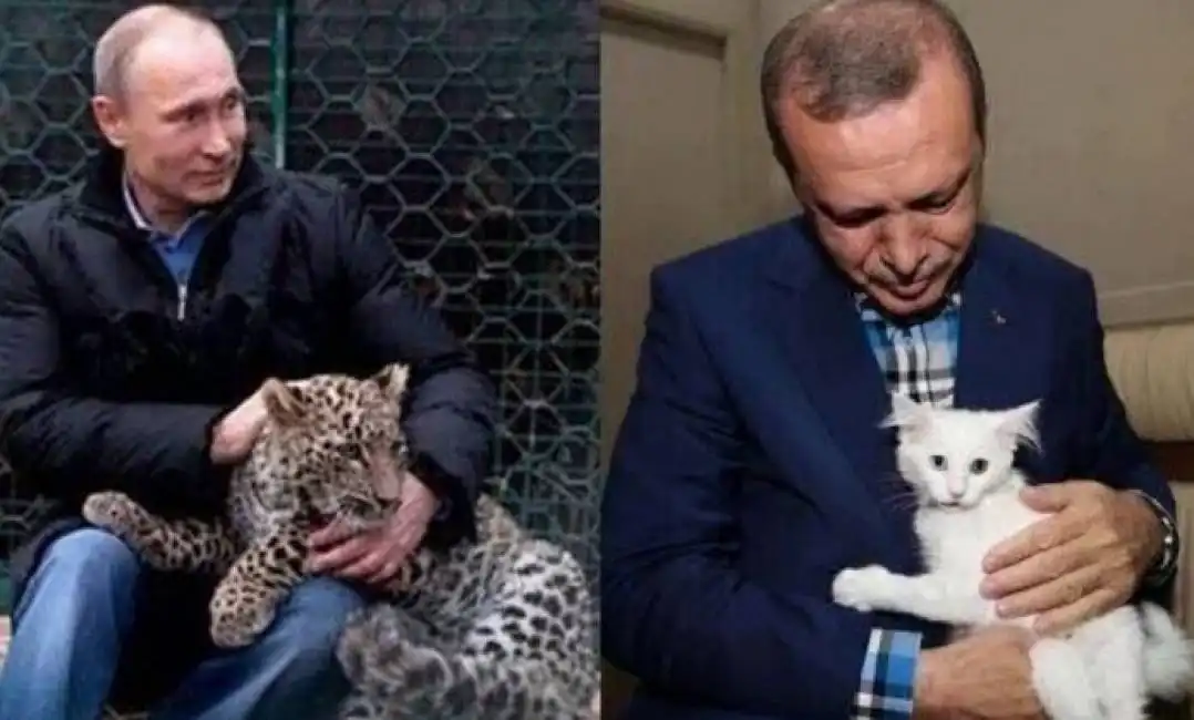 putin erdogan