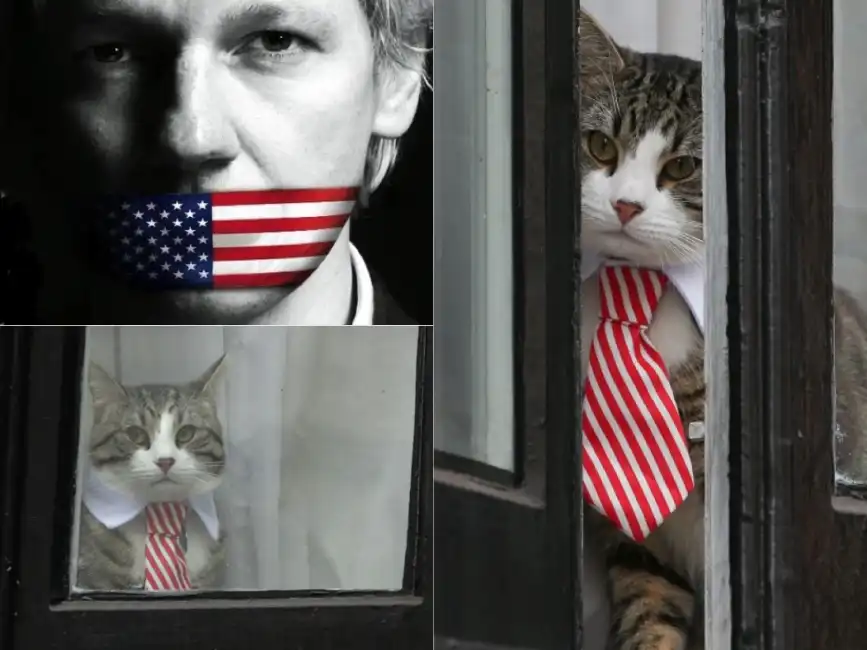 assange