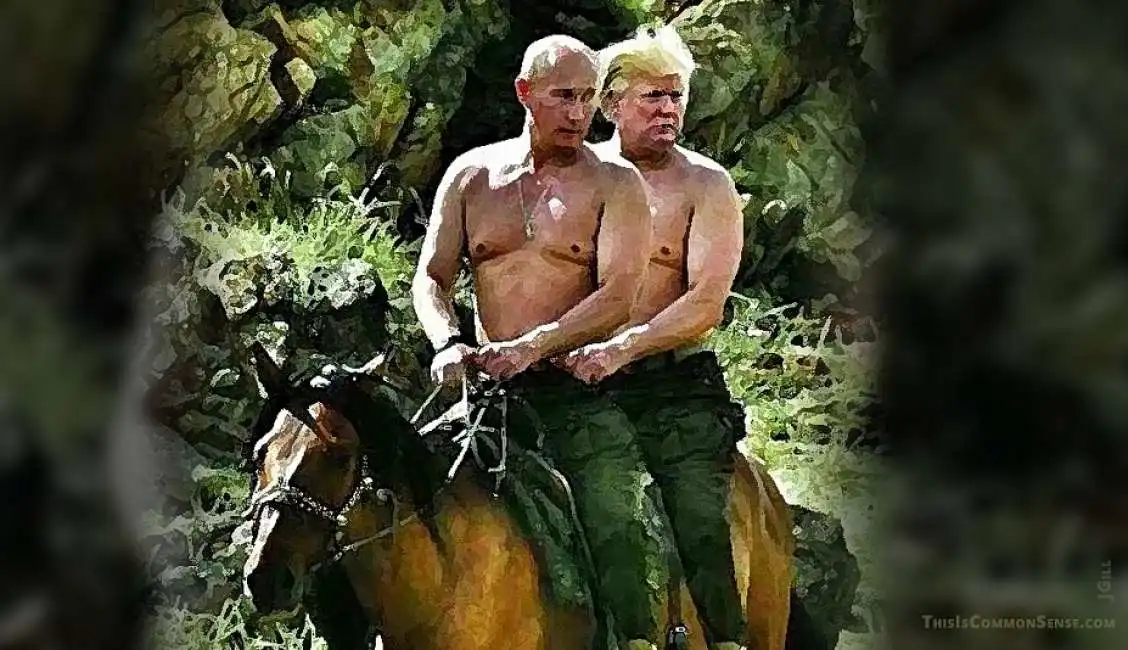 donald trump vladimir putin