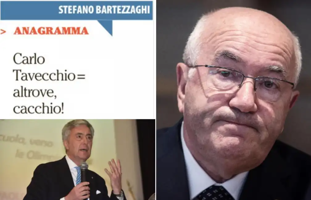 tavecchio