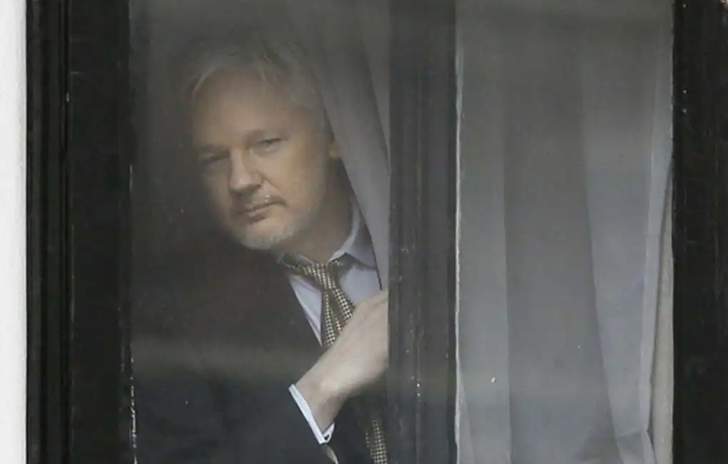 julian assange alla finestra