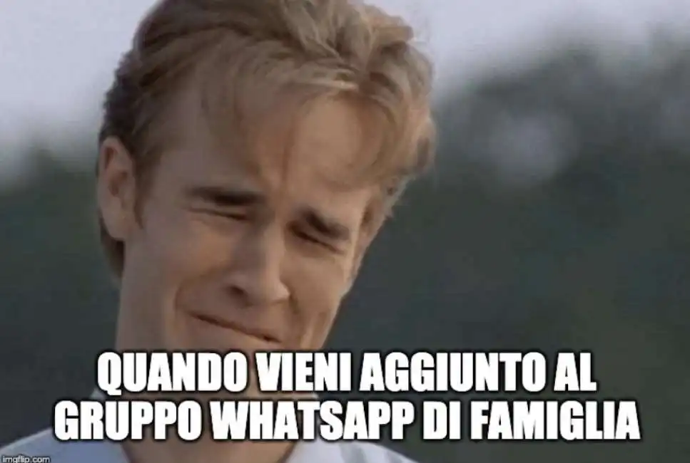 gruppo gruppi whatsapp