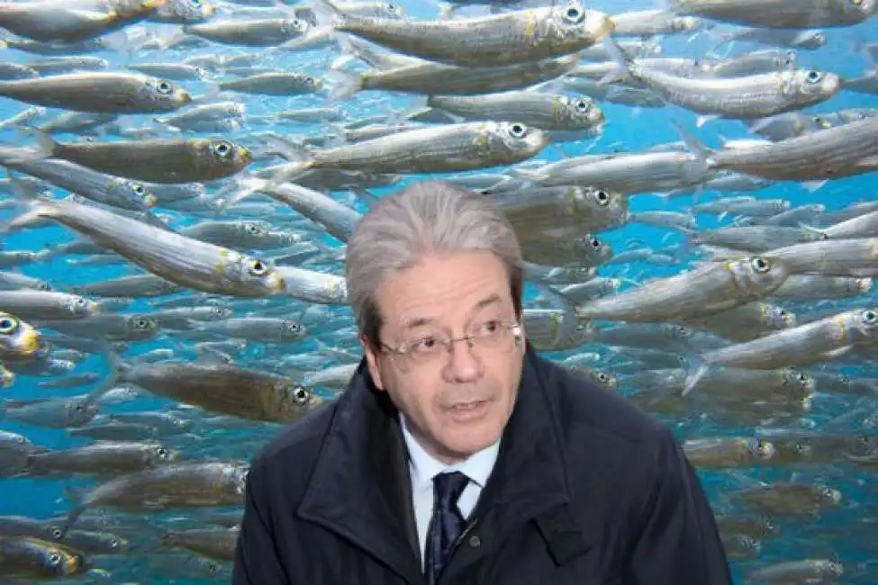 paolo gentiloni sardine