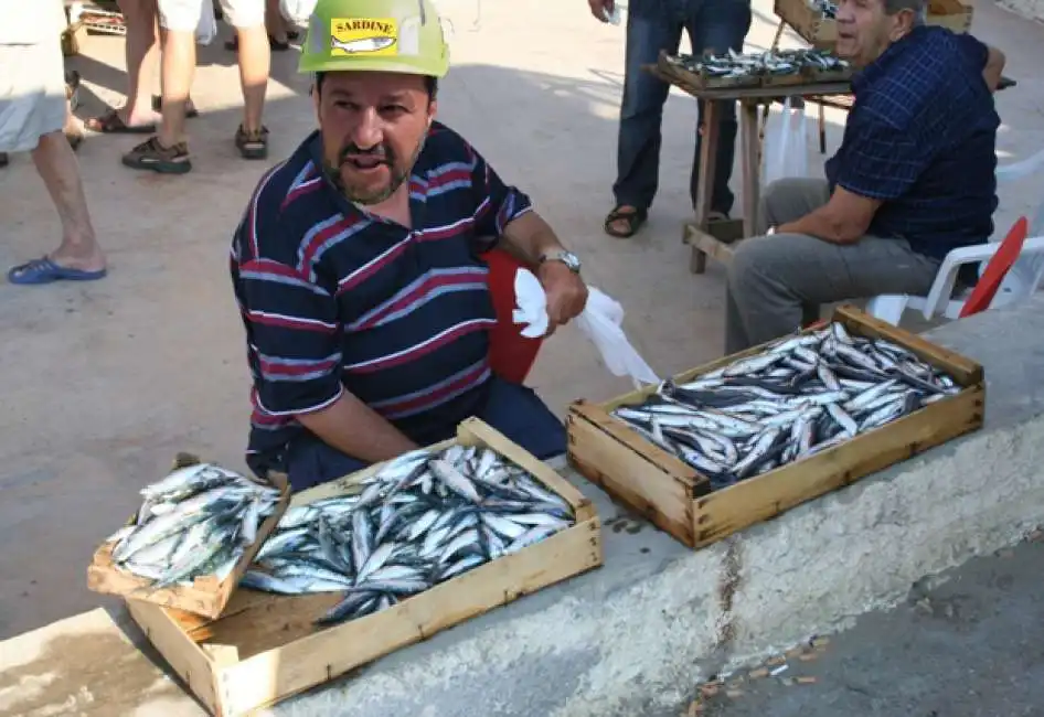 salvini sardine