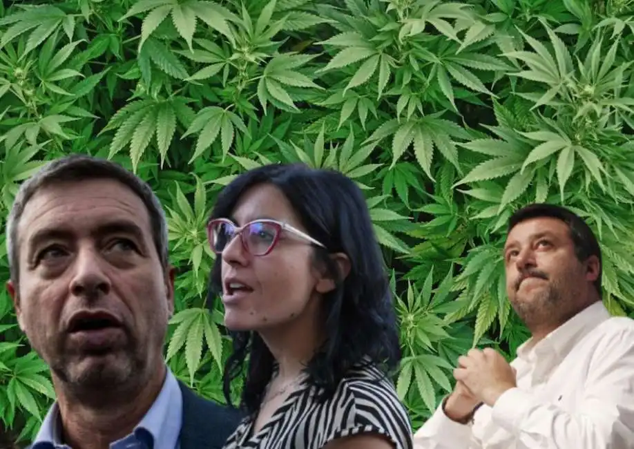 andrea orlando fabiana dadone matteo salvini cannabis