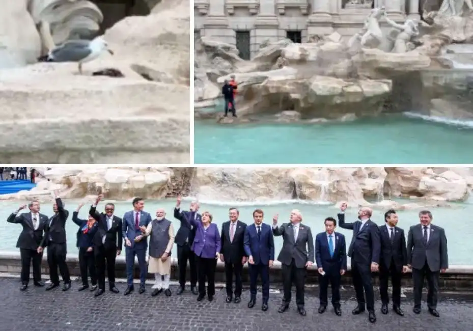 gabbiano cornacchia fontana di trevi g20