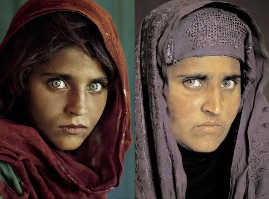 sharbat gula la ragazza afghana 