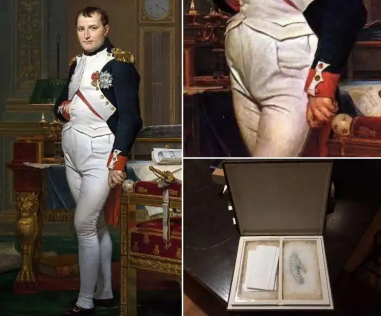 il pene di napoleone bonaparte