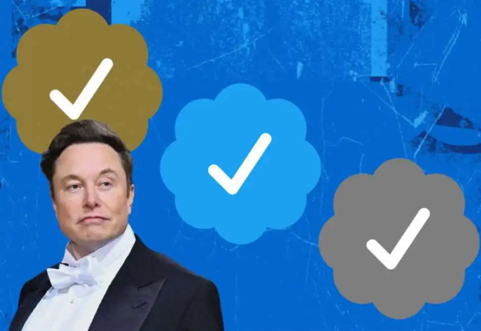 twitter elon musk spunte oro grige blu