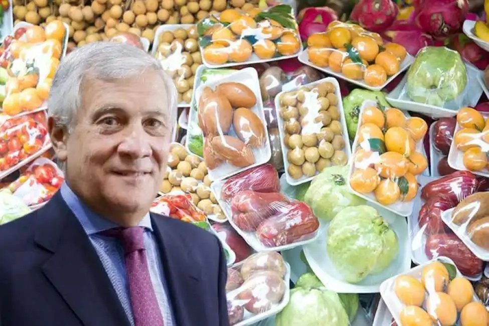 antonio tajani packaging imballaggi