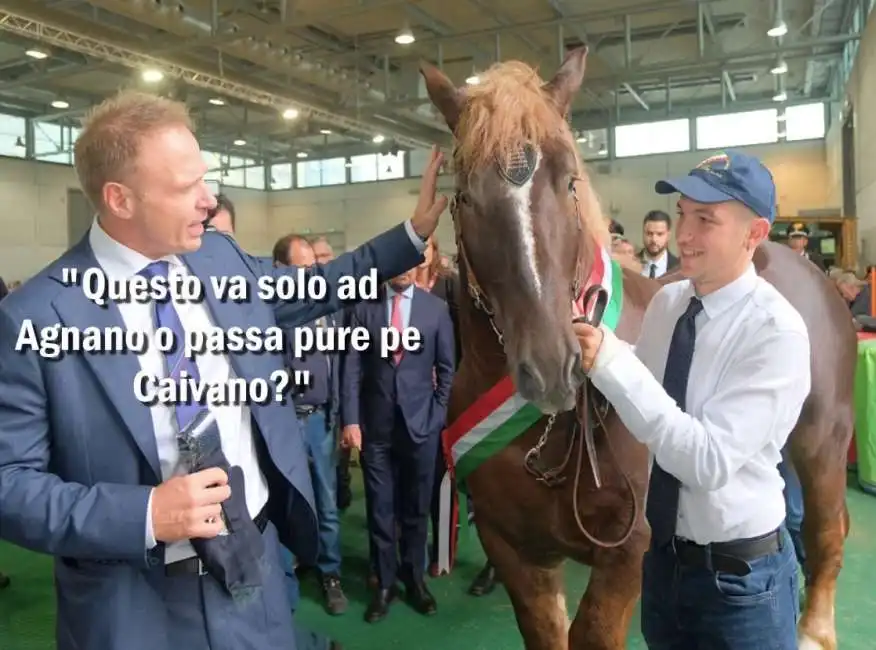 francesco lollobrigida treno frecciarossa cavallo cavalli 