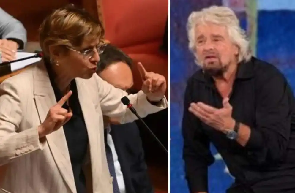 giulia bongiorno beppe grillo