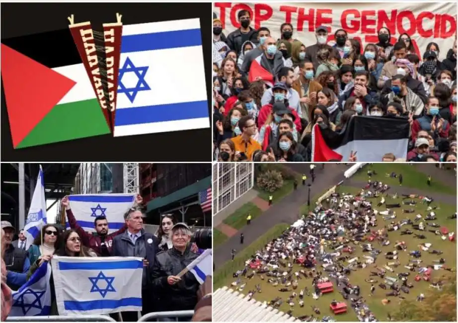 harvard studenti pro palestina pro israele