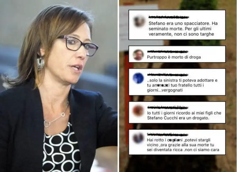 ilaria cucchi insulti social