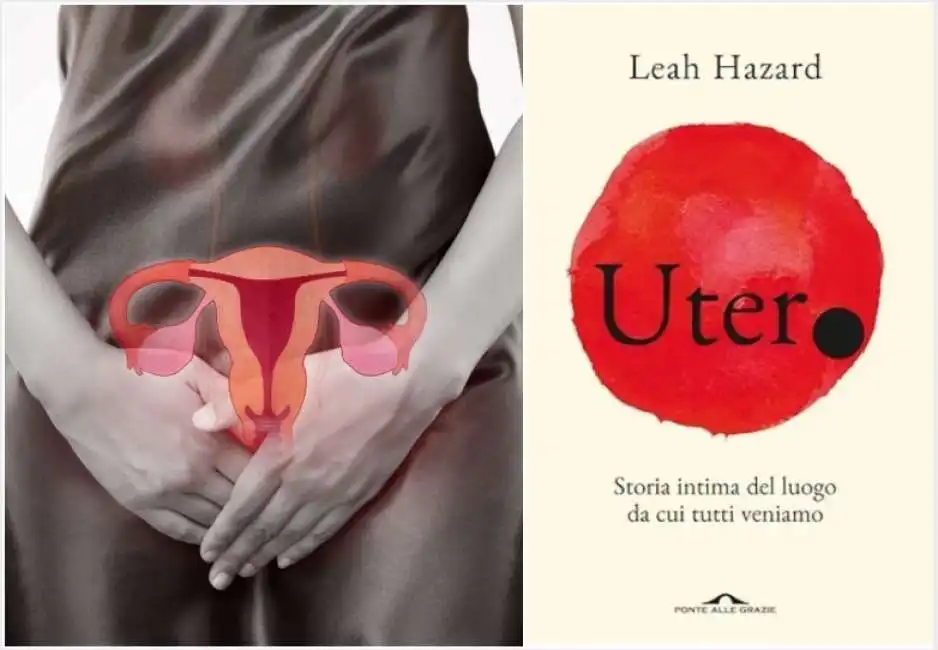 libro utero storia intima del luogo da cui tutti veniamo leah hazard