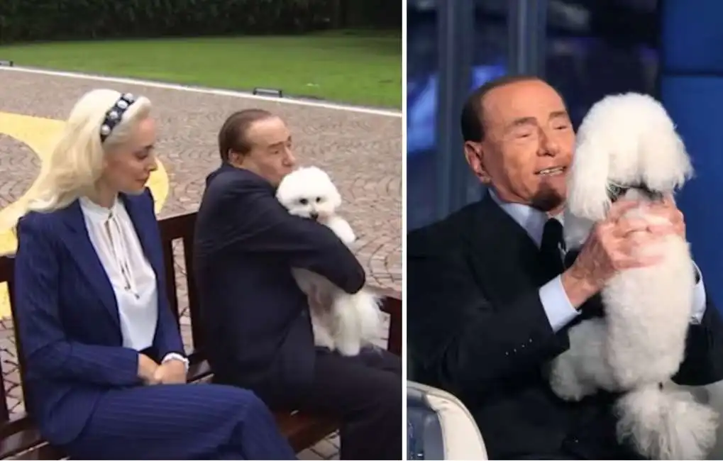 marta fascina silvio berlusconi dudu dudù