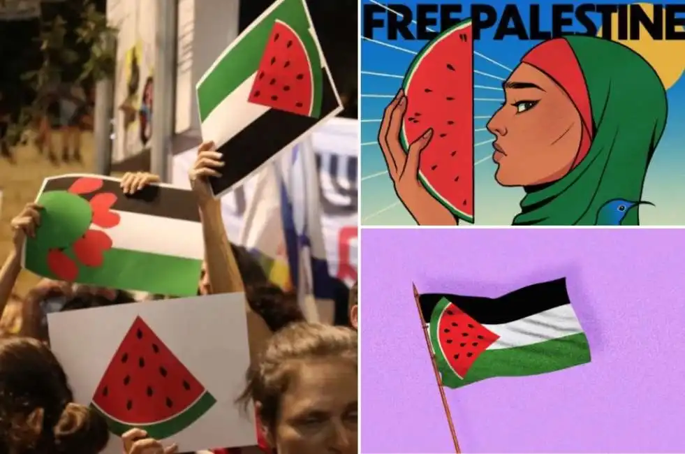 palestina anguria cocomero