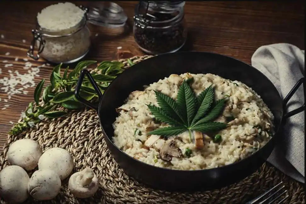 risotto alla marijuana 