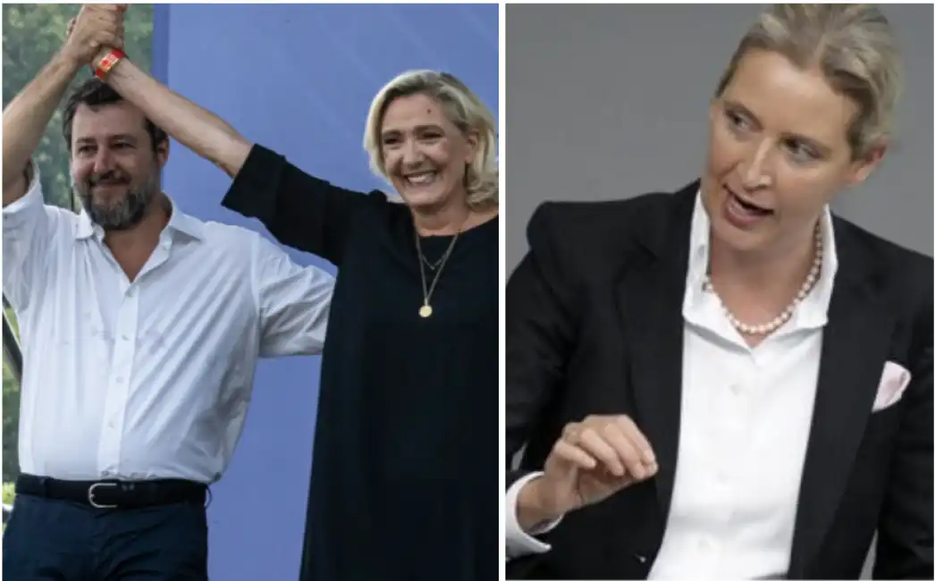 salvini le pen weidel